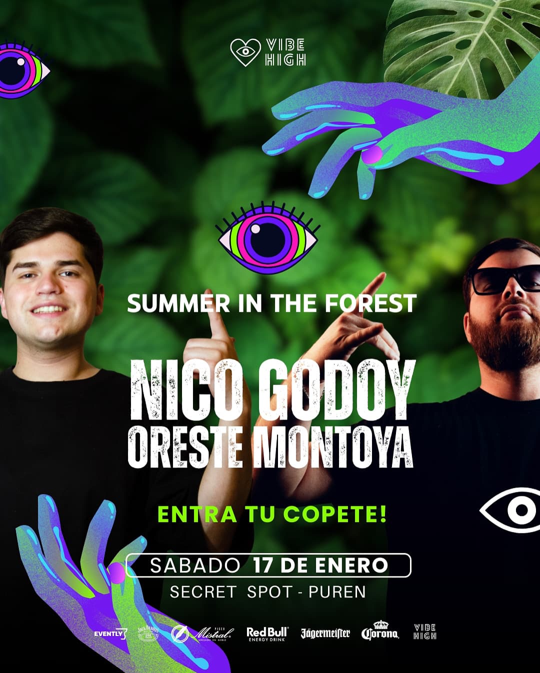 SUMMER IN THE FOREST image}